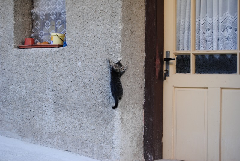 pepajs.cz